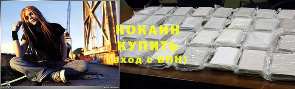ешки Пересвет
