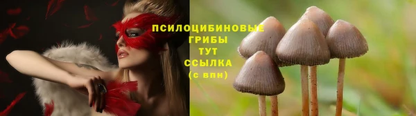 таблы Переславль-Залесский