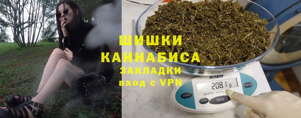 ешки Пересвет
