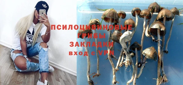 ALPHA PVP Пестово
