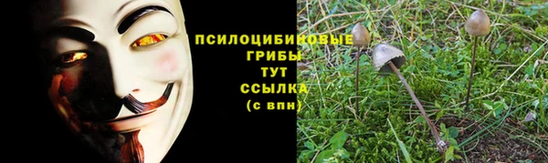 ешки Пересвет
